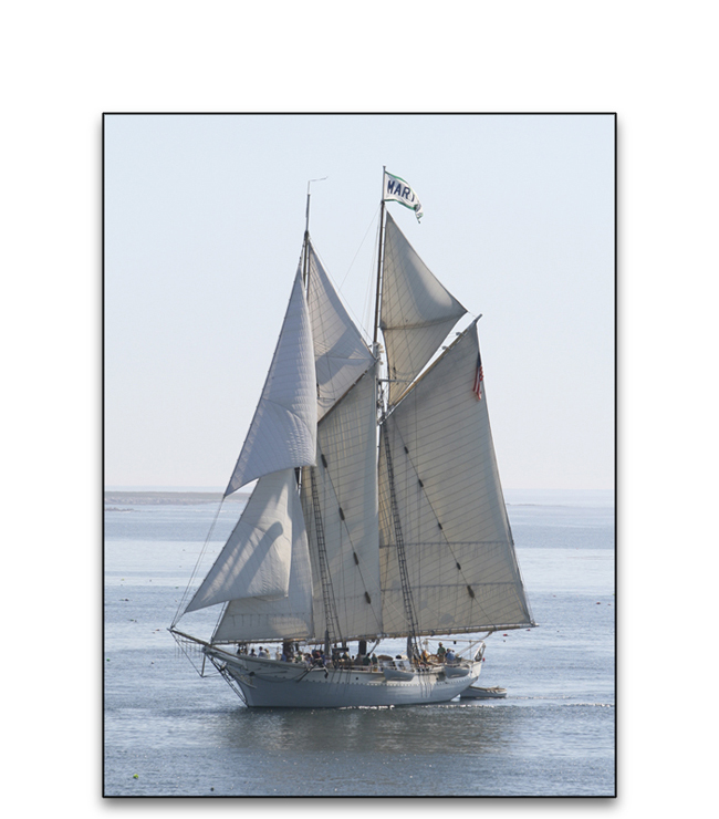 Sailing-04